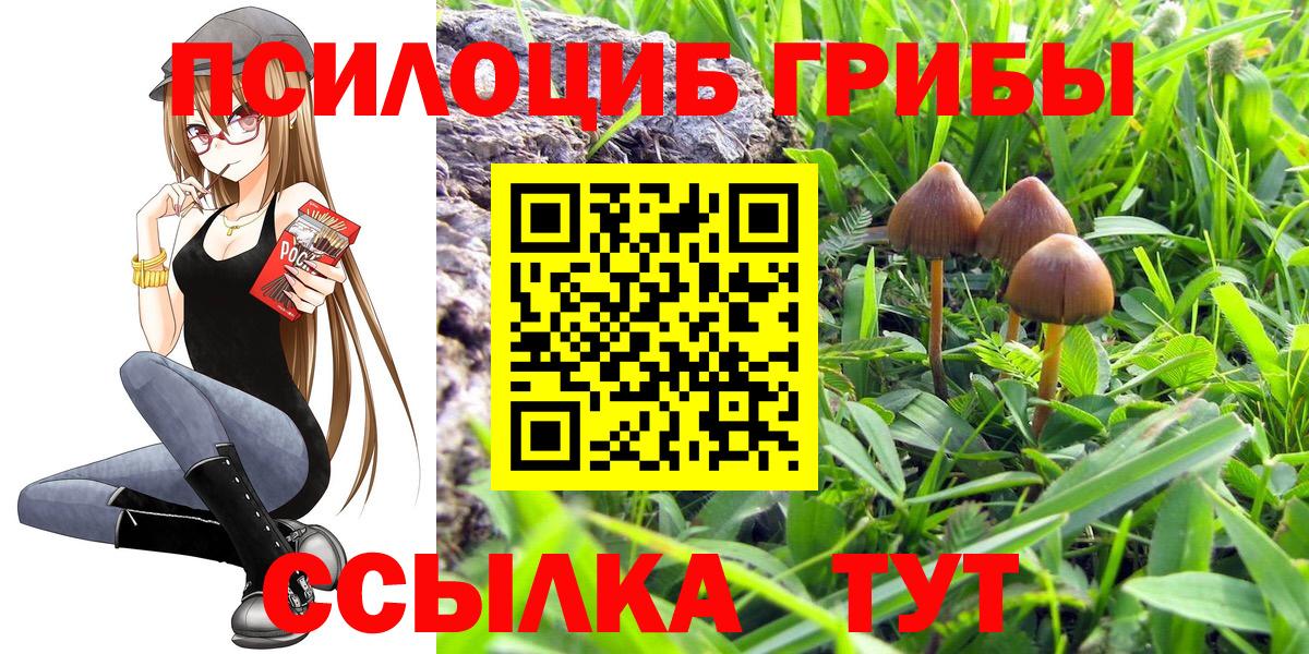 Полевской  Галлюциногенные грибы ЛСД  Вход с VPN 